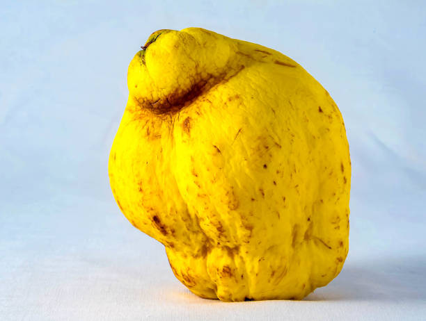 istock A large yellow fruit with a brown spot on it 2158654668