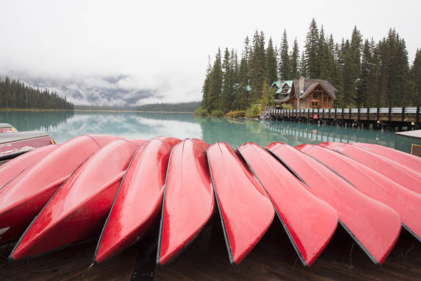 View past row of canoes on moody day on Emerald Lake, Banff National Park