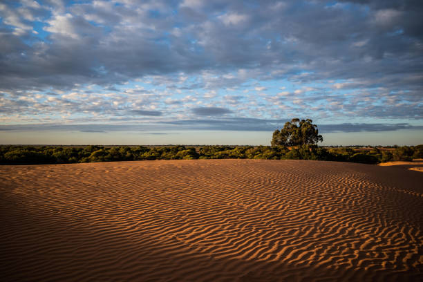 The Perry Sandhills are a land formation of 400 acres of continuously shifting sand dunes, located six kilometres from Wentworth NSW, Australia.