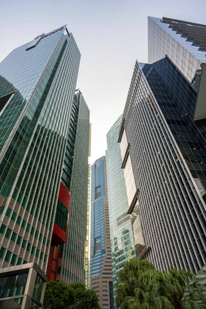 Modern glass skyscraper with palm trees in Singapore