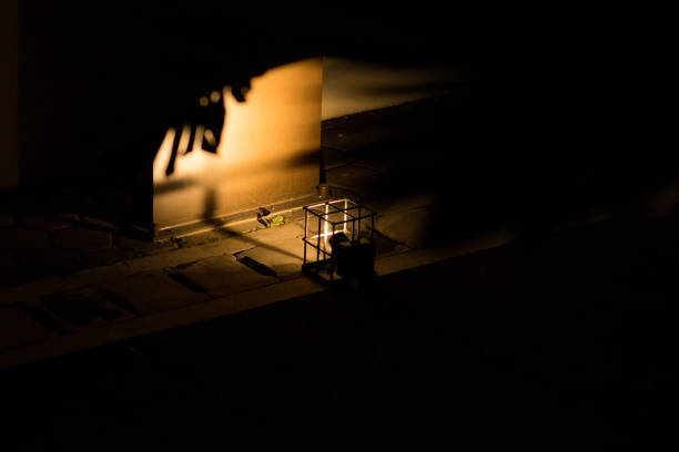 Outdoor lamp with dark and retro style in the garden at old building
