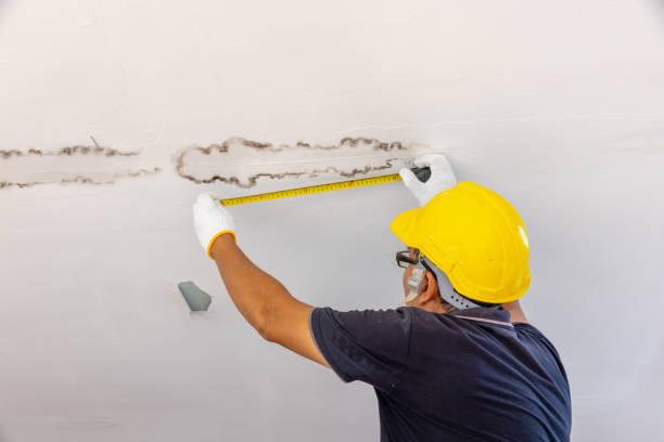 Essential Steps for Handyman Ceiling Leak Fixes Essential Steps for Handyman Ceiling Leak Fixes Preventing Water Damage.