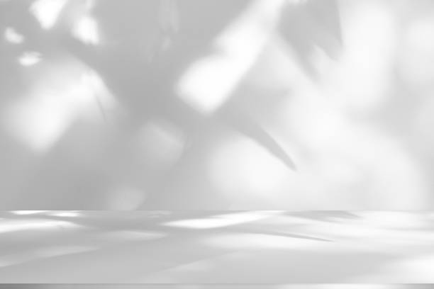 istock Wall interior background, studio and backdrops show products.with shadow from window color white . background for text insertion and presentation product 2158666094
