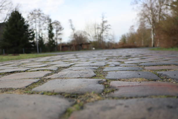 istock Strolling peacefully along a raindrenched cobblestone path in the tranquil park environment 2158667731