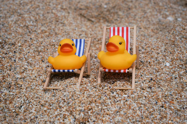 Beach Holiday concept, two rubber ducks sat in miniature deckchairs on Pedn Vounder Beach, south Cornwall.