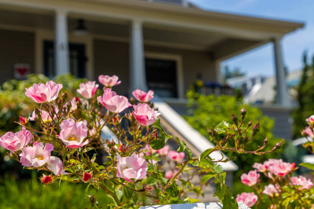 House with pink flowers