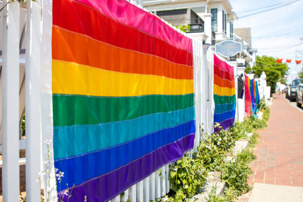 istock Original pride flag on a fence 2158673013