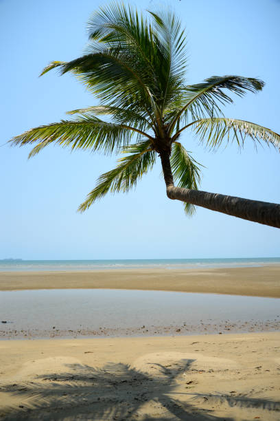 istock Wonga Beach, Port Douglas, Daintree, Far North Queensland, Australia 2158673947