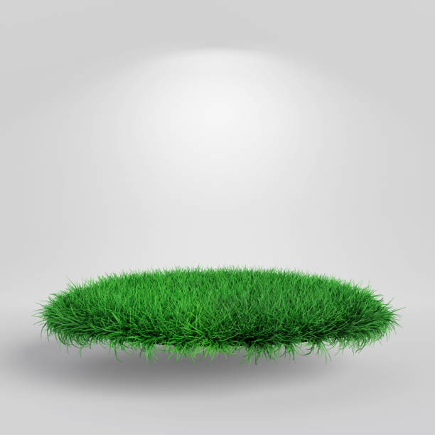 istock Green Grass Podium Stage for Product Presentation. 3d Rendering 2158675374