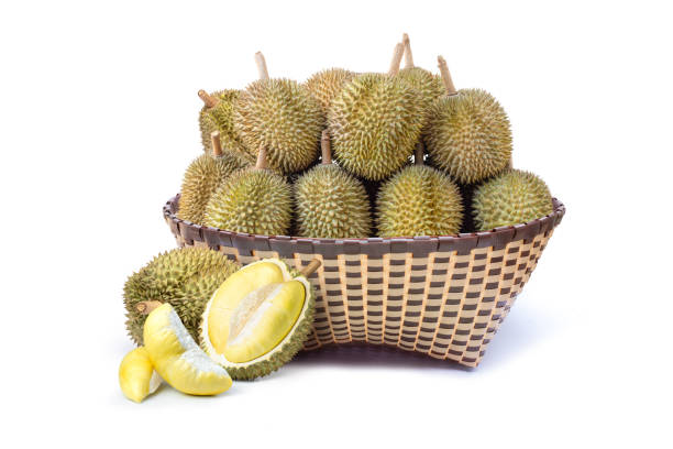 Durian fruit in basket