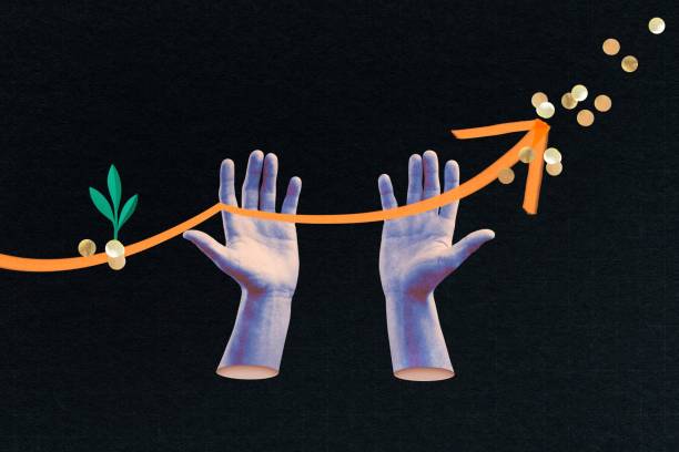 Business growth, investment and profit remix