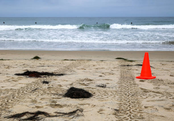 istock Breezy Pacific Beach in early morning, San Diego, CA 2158678915