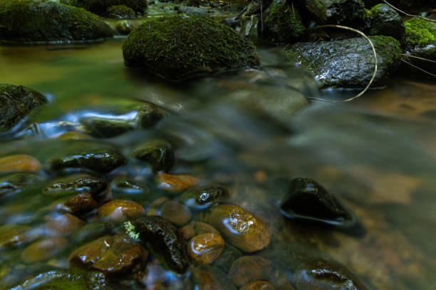 Jizera River in the Jizera Mountains, the border of Poland and the Czech Republic. Natural landscape