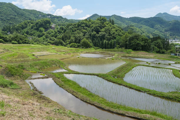 istock Rice terraces in the Chichibu Basin 2158681990