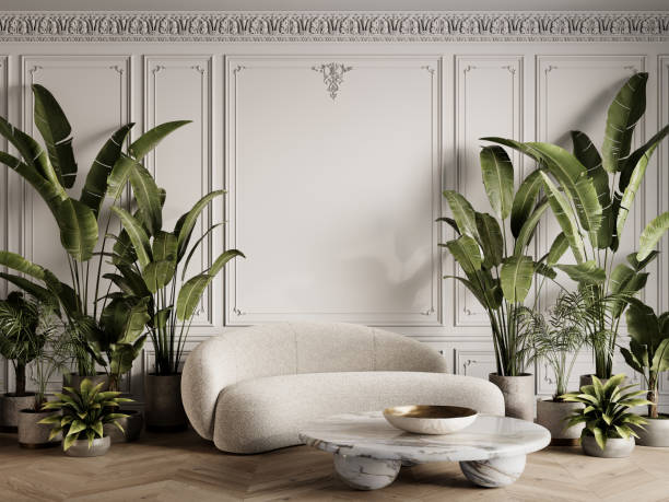 istock White contemporary classic interior with boucle fabric sofa, marble coffee table, moldings, potted tropical plants and decor. 3d render illustration mockup. 2158685179