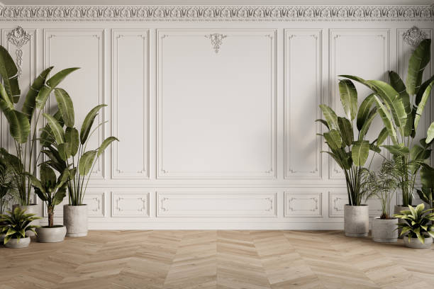 istock White classic empty interior with moldings potted tropical plants and wood chevron floor. 3d render illustration mockup. 2158685202