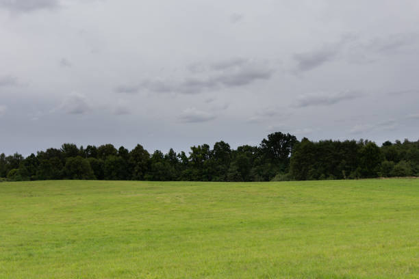 istock Beautiful atmospheric meadow scenery in overcast day. 2158685493