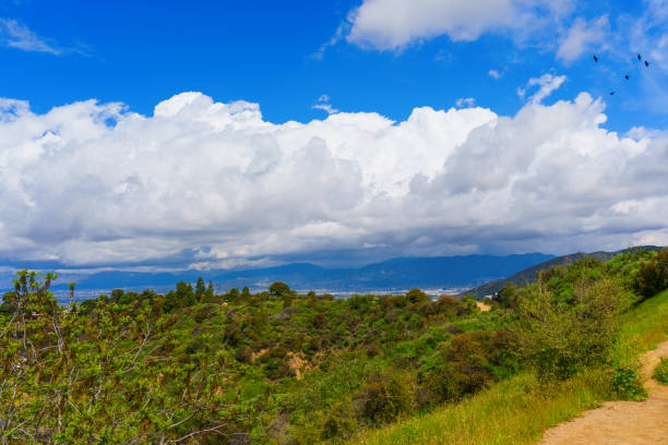 Dramatic view of Los Angeles from the hilltop in Runyon Canyon Park, with a sky with thick white clouds dominating the frame