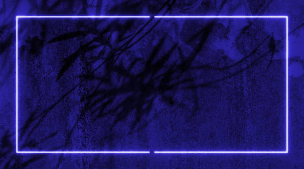 istock Dark old cement wall and shadow leaves background, 2158687101