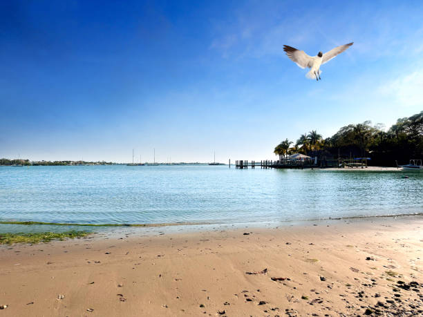 Sarasota Bay view in sunny day in Florida