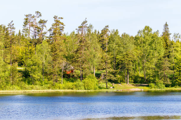 istock Lake at a forest in summer 2158688869
