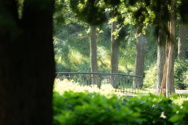 A beautiful bridge over the canal in public park in Riga. Sunny summer scenery of Latvia, Northern Europe.