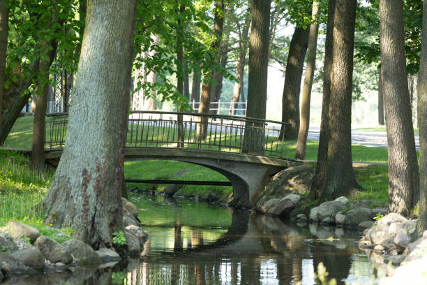 A beautiful bridge over the canal in public park in Riga. Sunny summer scenery of Latvia, Northern Europe.