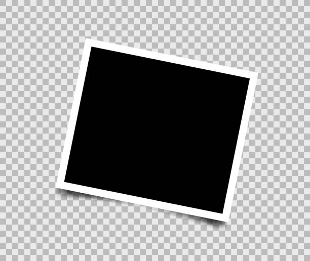 Realistic vector photo frame isolated on transparent background. Photo frame mockup design. Realistic vector photo frame isolated on transparent background. Photo frame mockup design transparent background image pictures stock illustrations