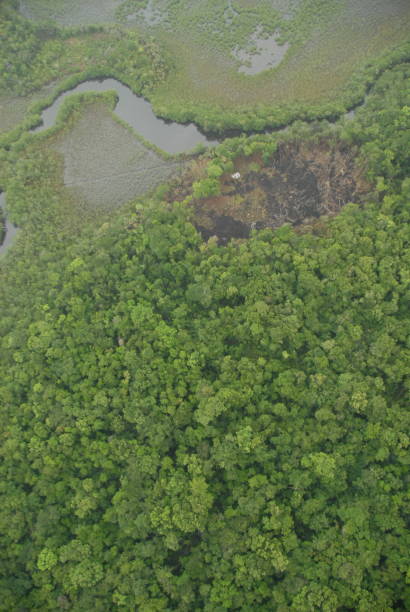 istock single bend in a river with an riel view of the jungle rain forest canopy in Toledo District, Southern Belize, Central America with tree tops in lush green taken from a light aircraft 2158691906