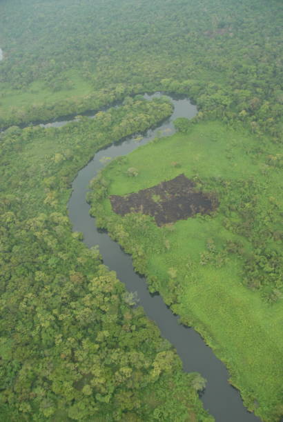 istock single bend in a river with an riel view of the jungle rain forest canopy in Toledo District, Southern Belize, Central America with tree tops in lush green taken from a light aircraft 2158692202