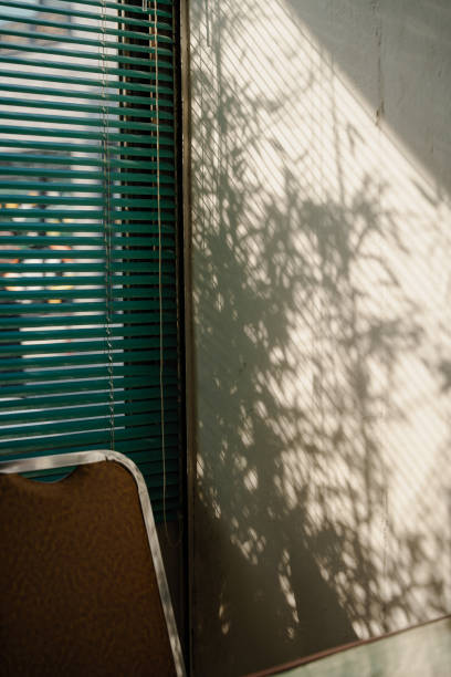 istock Green blinds and shadow play on white wall 2158692497