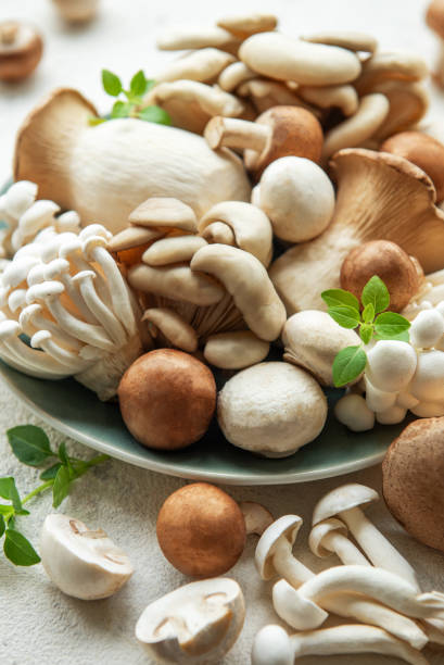 istock Assortment of various raw mushrooms on gray concrete background 2158693315
