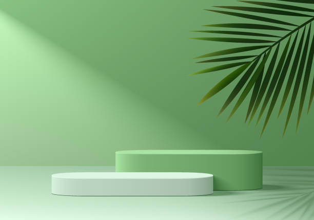 istock Realistic green 3D round podium background with palm leaf, window light scene. Minimalist 3D mockup pedestal, Abstract product display presentation, Stage showcase. Platforms vector geometric design. 2158693428