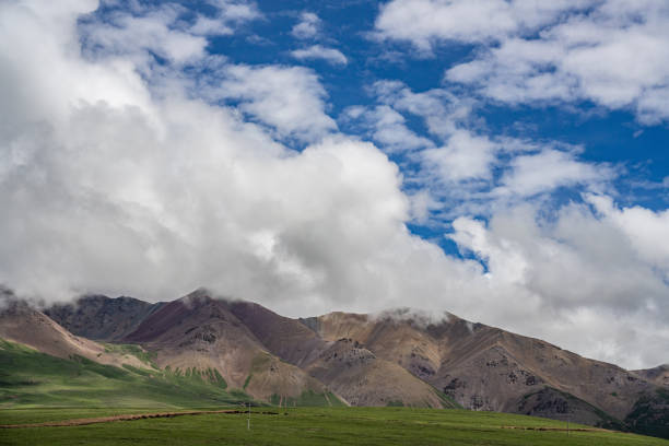Highland mountain meadow in cloudy weather