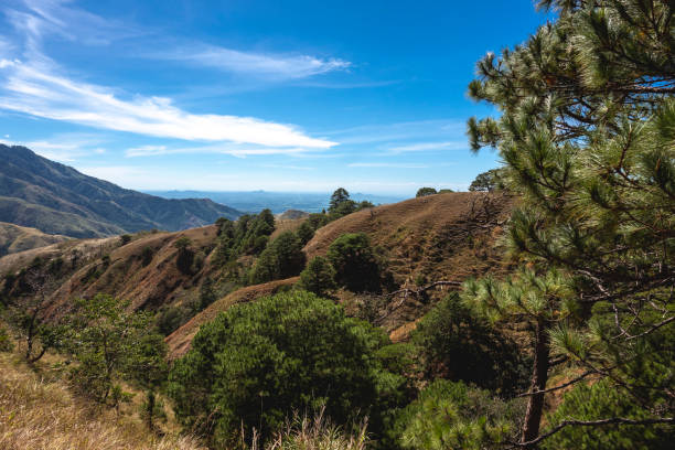 istock Exquisite view of mountains under a clear blue sky, framed by a green pine tree and fluffy clouds adding to the serene beauty. At San Nicolas, Pangasinan, part of the Cordillera mountains. 2158695704