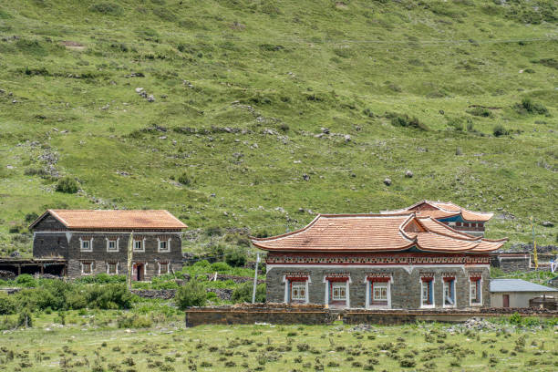 istock Tibetan architecture on the plateau meadow 2158696596
