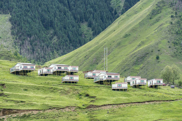 Tibetan architecture on the plateau meadow