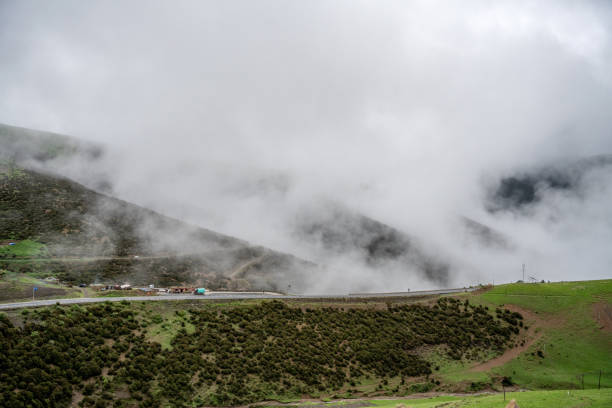 Highland grassland in cloudy weather