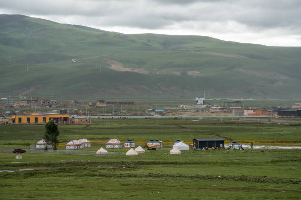 istock Temporary yurts and grazing cattle and sheep on the grassland 2158698509