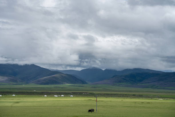 Highland grassland in cloudy weather