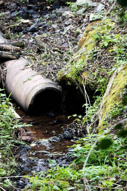 istock waste pipe outlet with water pooling at the end with dead branches and wild plants 2158699663