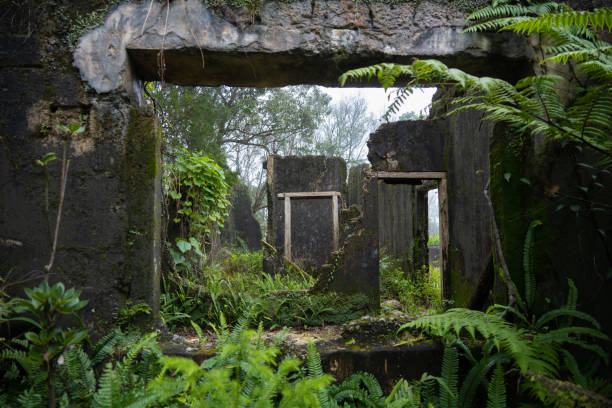 Explore the mysterious ruins deep in the jungle near Da Nang, Vietnam. This captivating scene reveals ancient structures shrouded in lush greenery, offering a glimpse into a hidden and forgotten world.