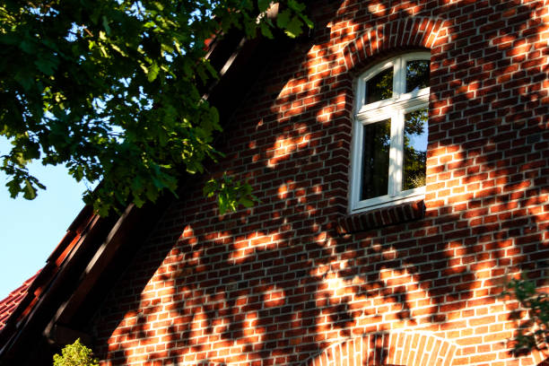 Brick facade in the shade of a tree