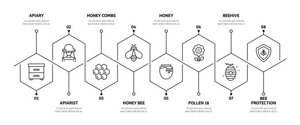 stockillustraties, clipart, cartoons en iconen met apiary related process infographic template. process timeline chart. workflow layout with linear icons - bestuiving
