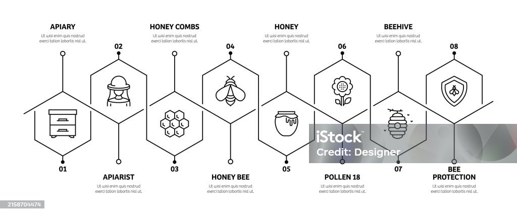 Apiary Related Process Infographic Template Process Timeline Chart ...