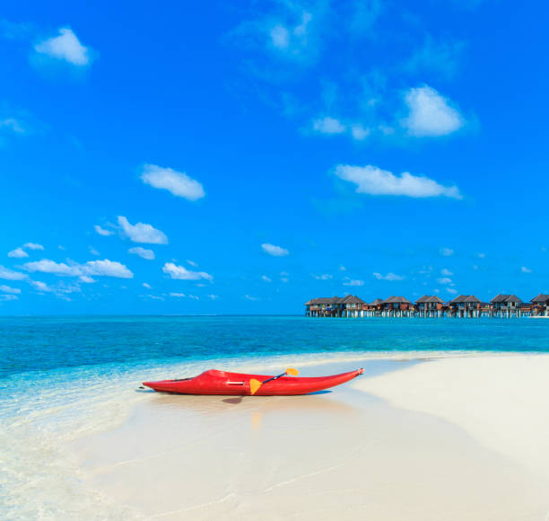 istock tropical beach in Maldives 2158705171