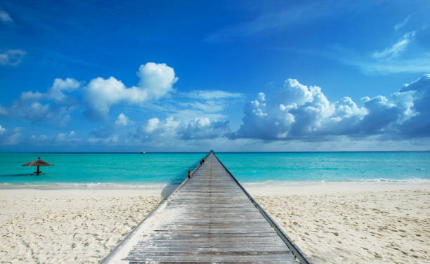 istock beautiful beach and tropical sea 2158705191