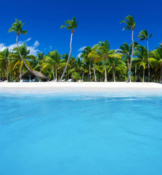 Tropical paradise beach scene for background or wallpaper