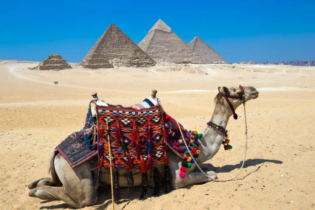 istock pyramids with a beautiful sky of Giza in Cairo, Egypt. 2158706100
