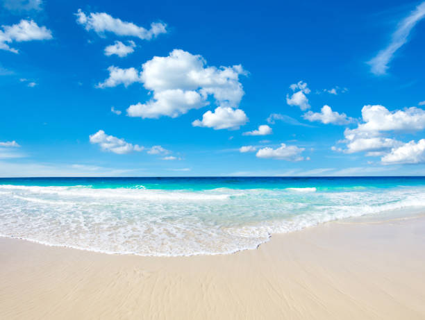 istock beach and beautiful tropical sea 2158707976